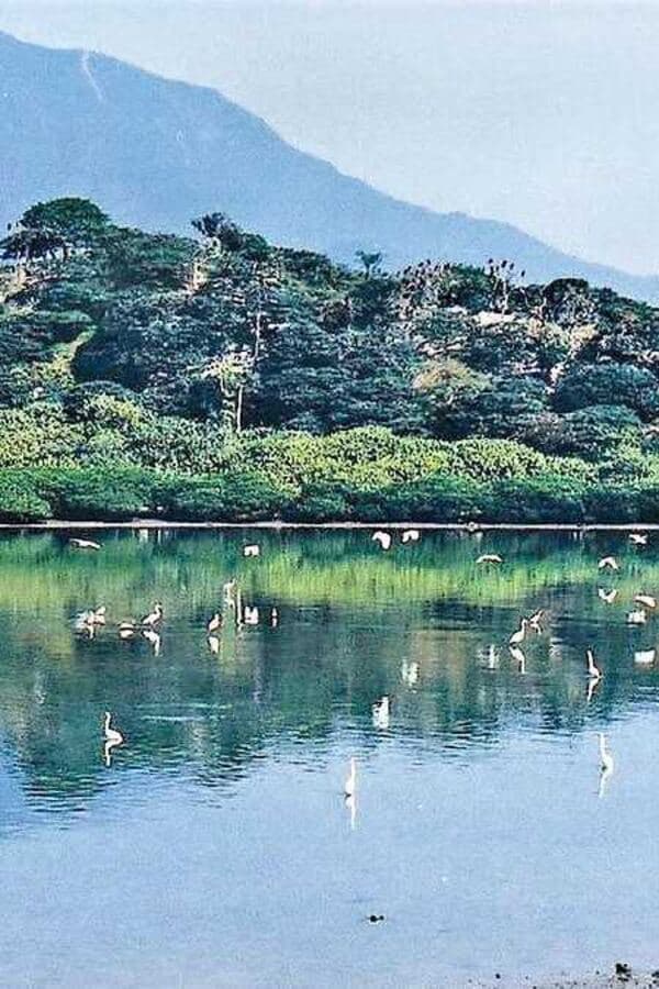鹿頸 (Luk Keng)