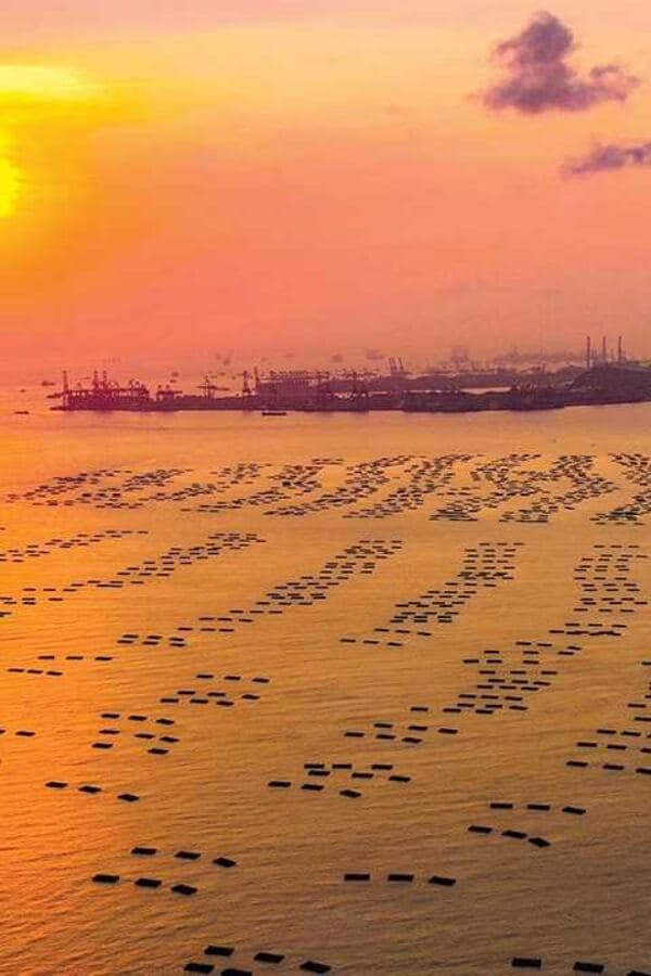 流浮山 (Lau Fau Shan)