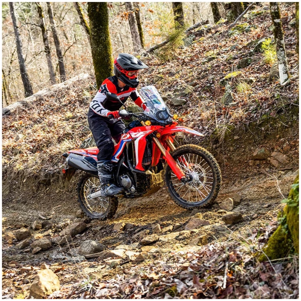 Honda CRF300L RALLY